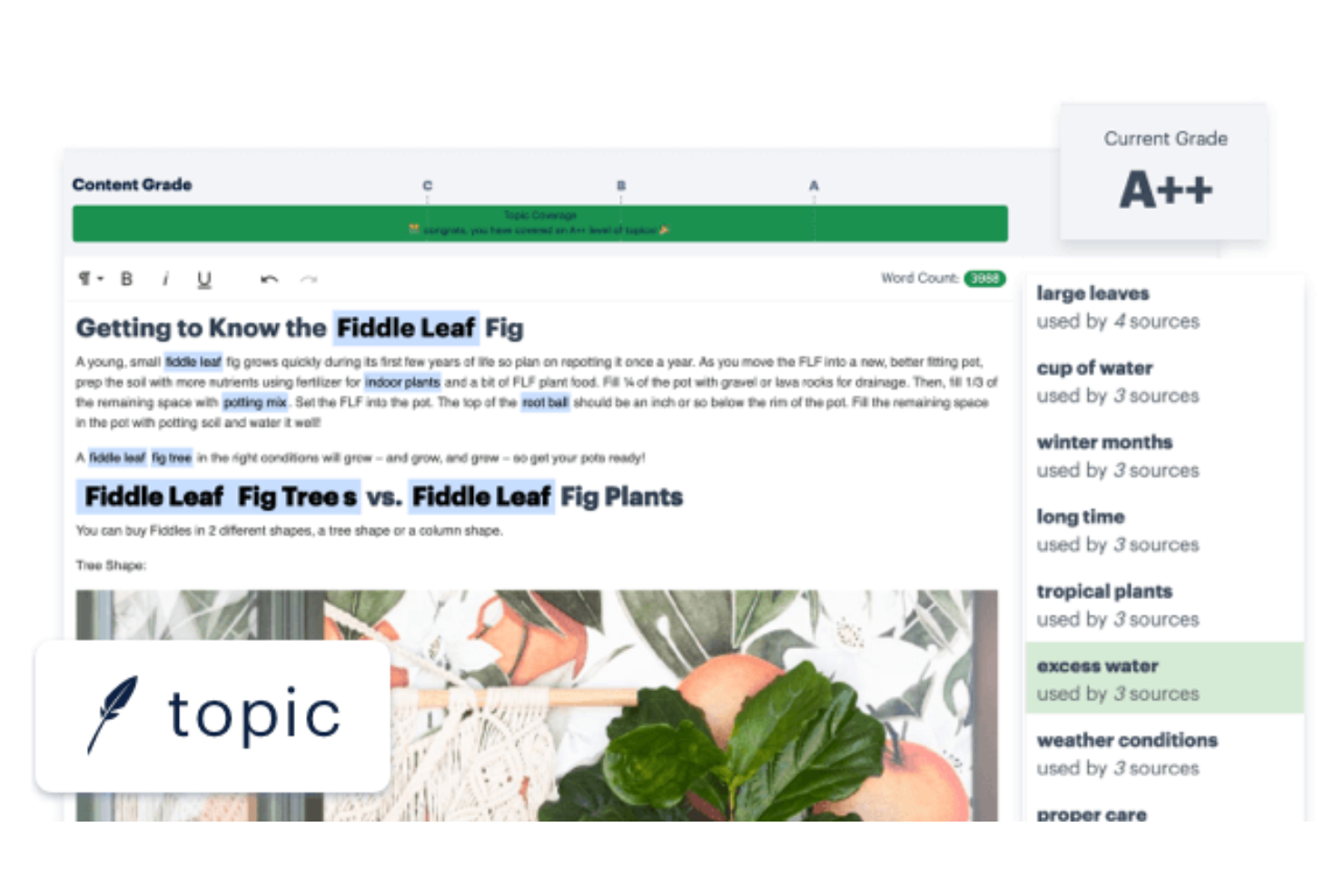Topic screenshot - 10 Best Website Content Optimization Software For 2026