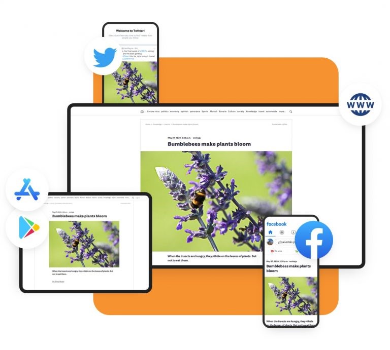 purple ds content distribution software screenshot